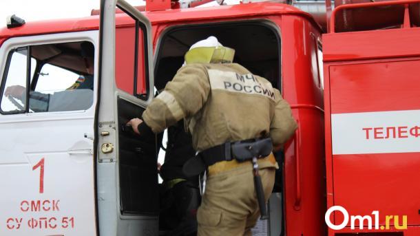 В Омской области пожар в частном доме унес жизнь человека