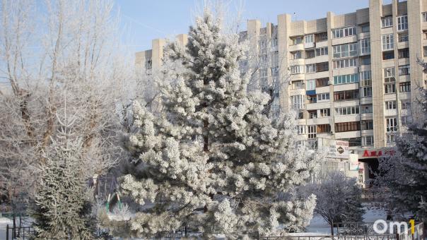 Морозы возвращаются: в Омской области снова ударит похолодание до –33