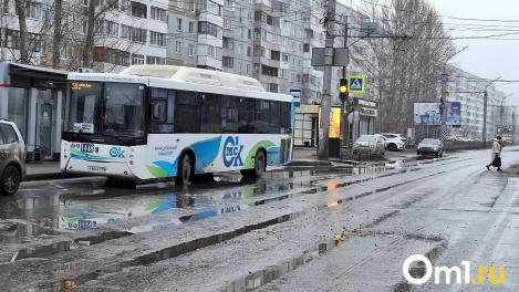Омские автобусы хотят штрафовать за неправильный цвет