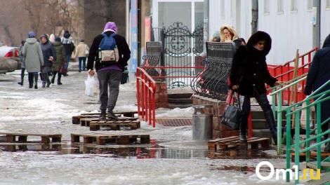 Весна близко? После лютых морозов в январе омичей ждёт февральская оттепель