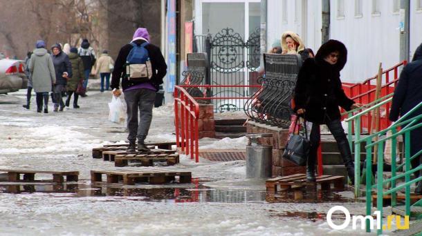 Весна близко? После лютых морозов в январе омичей ждёт февральская оттепель