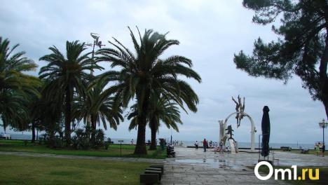 Омичи могут узнать о запрете на выезд через голосовой бот