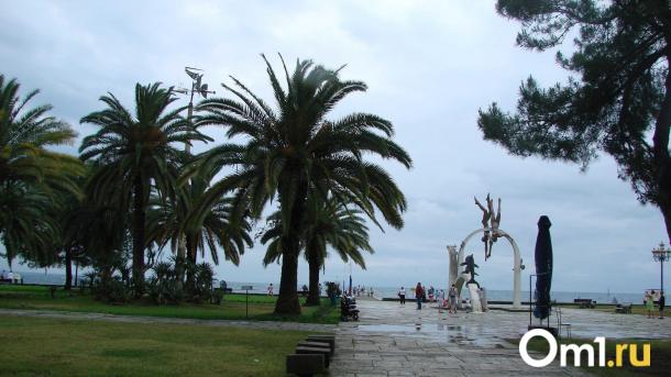 Омичи могут узнать о запрете на выезд через голосовой бот