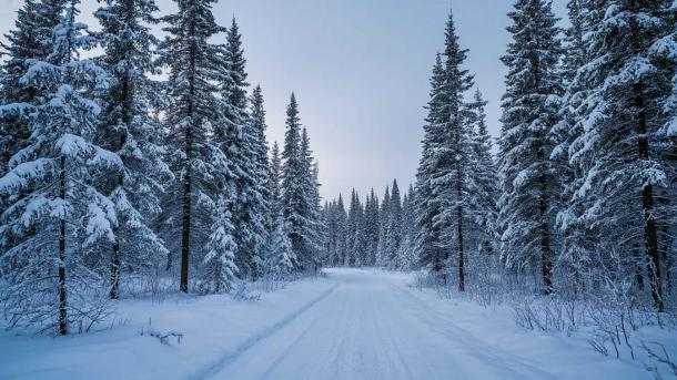 Полицейские спасли семью из 7 человек на трассе при -40°C