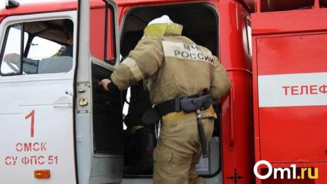 В Омской области за один день произошли два смертельных пожара