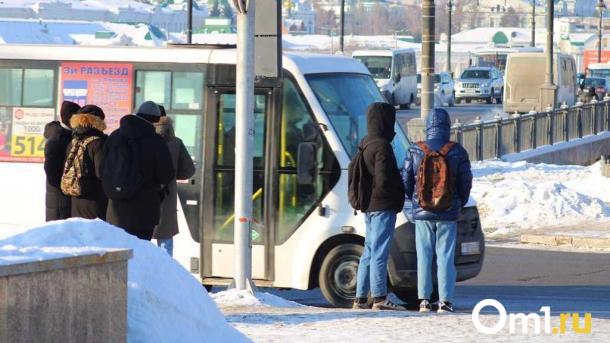 На омские улицы вернут популярный маршрут