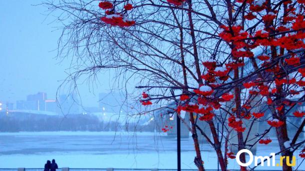 Новосибирцев ждут крепкие морозы до -31 градуса