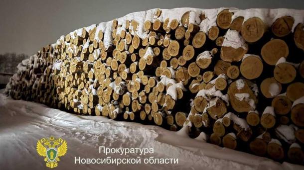 Под Новосибирском задержаны двое за вырубку леса на 7,3 миллиона рублей