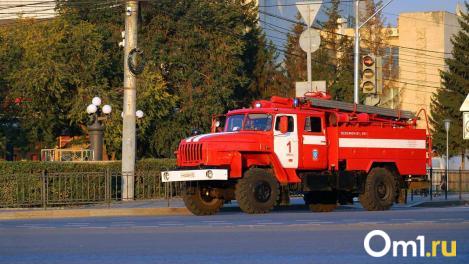 В Омской области с начала года на пожарах погибли 10 человек