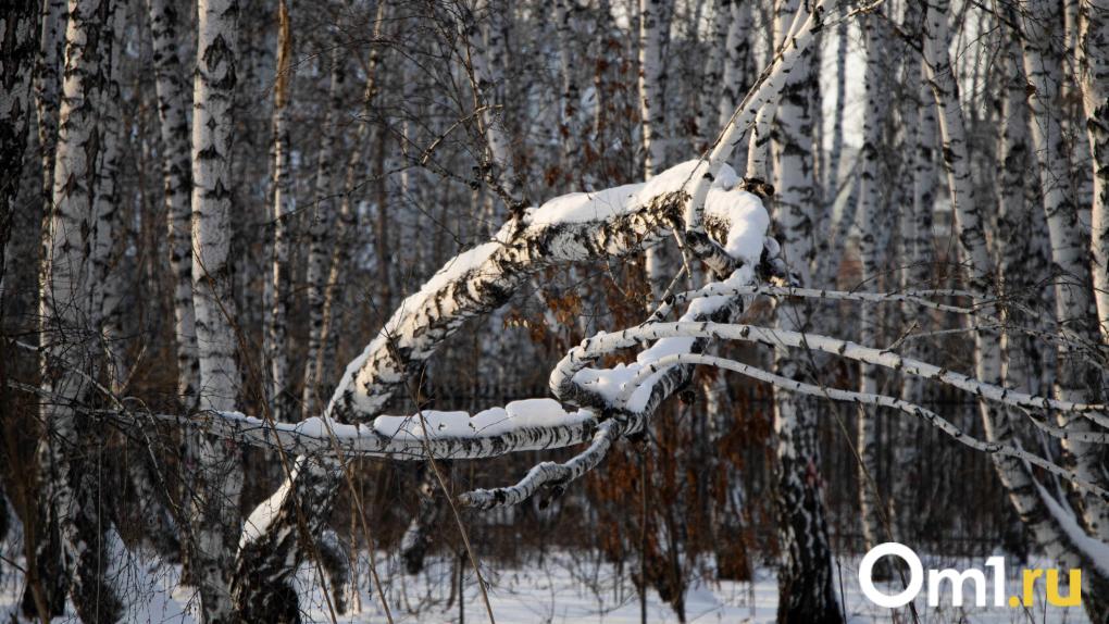 Новая волна морозов ударит по Омску в феврале