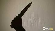 Психологи видят причину нападения в Нижнекамске в семейных проблемах