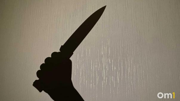 Психологи видят причину нападения в Нижнекамске в семейных проблемах