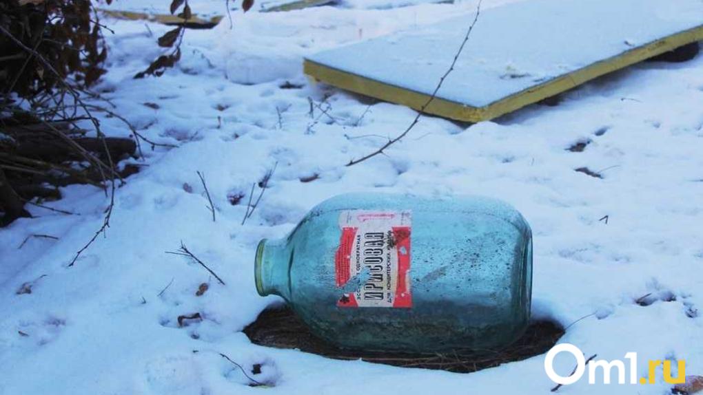 В Омске начнут ликвидацию свалок с федеральной субсидией в 65,6 миллиона рублей