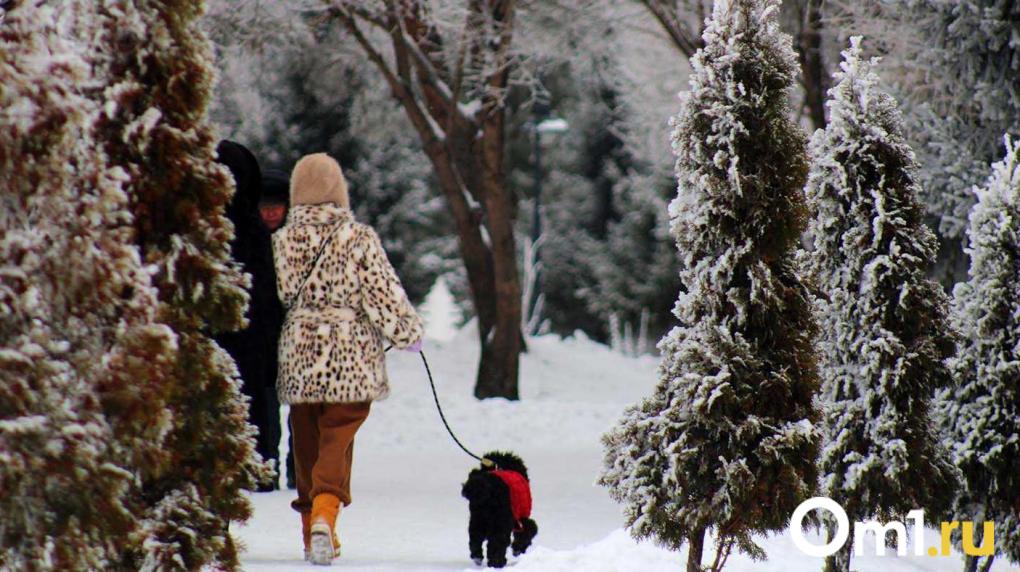 В Омской области будет холоднее, чем в Оймяконе: мощное похолодание уже началось