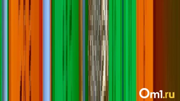 Бизнесу вернули миллионы: новосибирская прокуратура вмешалась в работу таможни