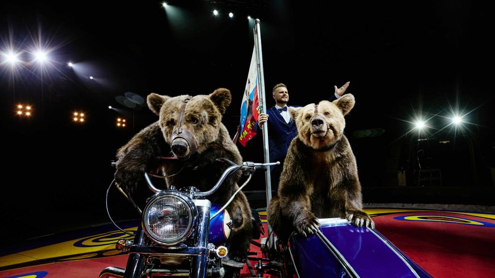 Цирковое шоу Филатовых в Омске: медведи на мотобайках и эквилибристы