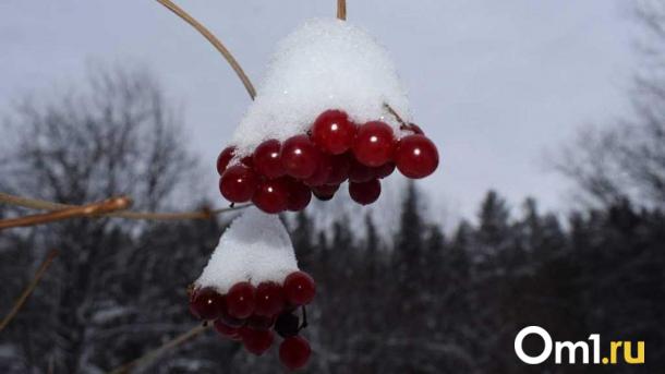 Начальник Обь-Иртышского УГМС объяснила причины аномальных морозов в Омской области