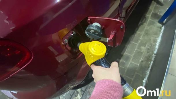 В Омской области оказалось самое дешёвое топливо в Сибири