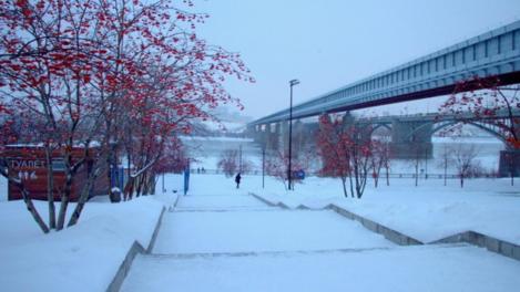 От -29 до -7: последняя неделя января устроит новосибирцам температурные качели