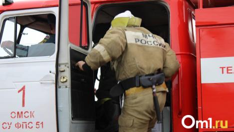 В Омске пожарные спасли девять жильцов из горящего дома в Кузьминках