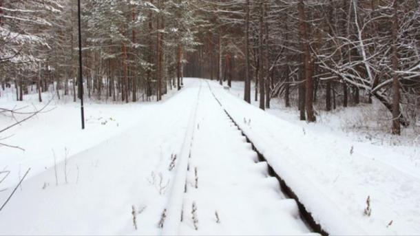 Женщина получила травму из-за вихревого потока поезда под Новосибирском
