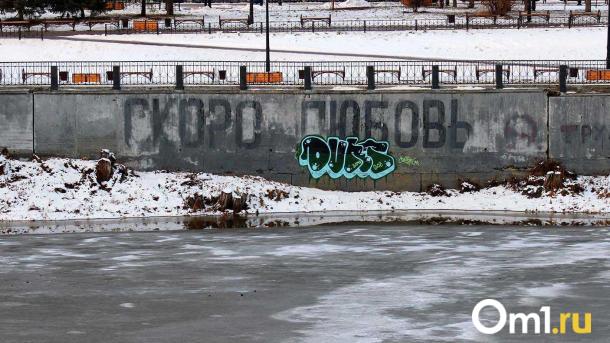 В Омской области 26–27 января сохранится аномально холодная погода