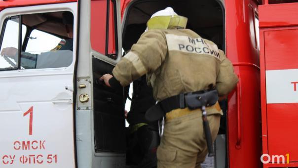 В Калачинском районе при пожаре погибли женщина и её сын