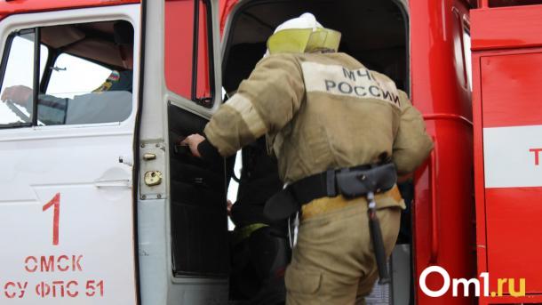 В Калачинском районе при пожаре погибли женщина и её сын