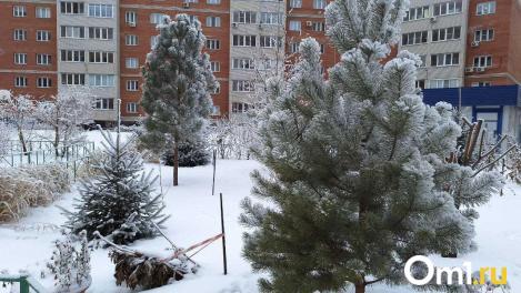 Две омские школьницы выпали из окна многоэтажки