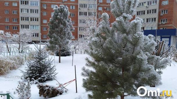 Две омские школьницы выпали из окна многоэтажки