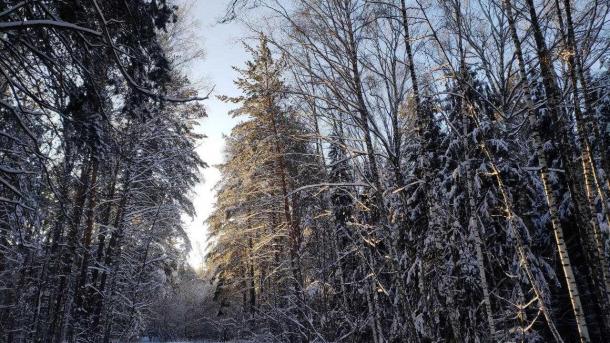 Москву ждёт 4-дневная метель: снежный покров может достичь 57 см