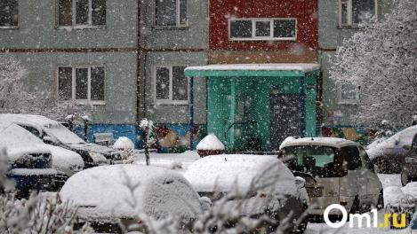 На Омск вместе с оттепелью обрушатся снегопады и метели