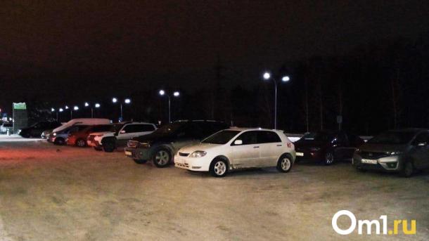 Горсовет поддержал более суровое наказание для омичей за парковку на газонах