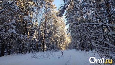 В Новосибирске мороз крепчает: сколько покажут термометры 28 января?