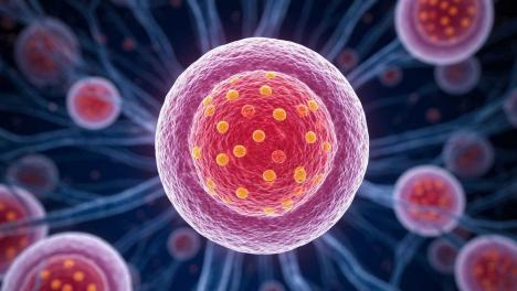 Случай «исчезновения» рака у мужчины на острове: онколог объяснил, почему это фантастика