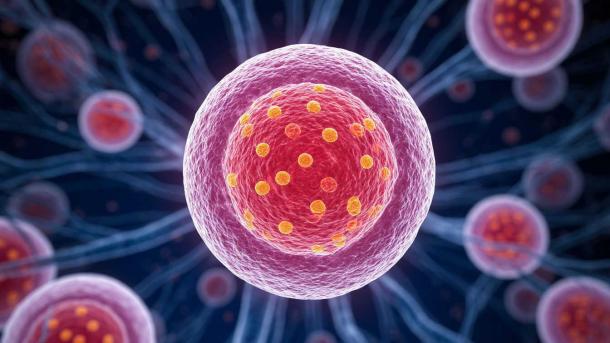 Случай «исчезновения» рака у мужчины на острове: онколог объяснил, почему это фантастика