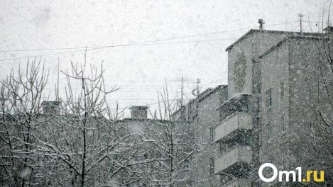 Омичей в конце января ждёт резкий скачок погоды: к чему готовиться?