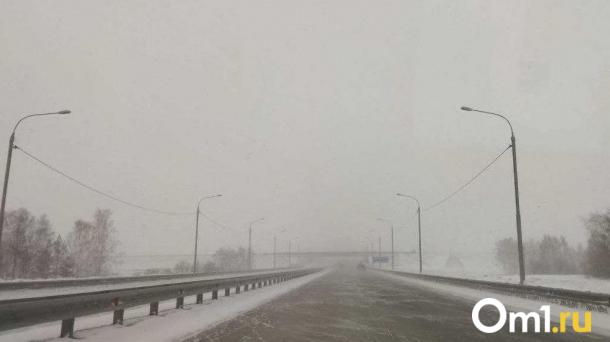 Водитель из-за поломки фуры развёл костёр на трассе в Омской области