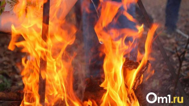 Пламя у больницы: в Новосибирске вспыхнула ГАЗель
