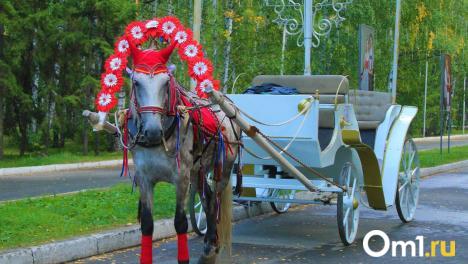 Не бита, но крашена: неподалёку от Омска продают карету XIX века