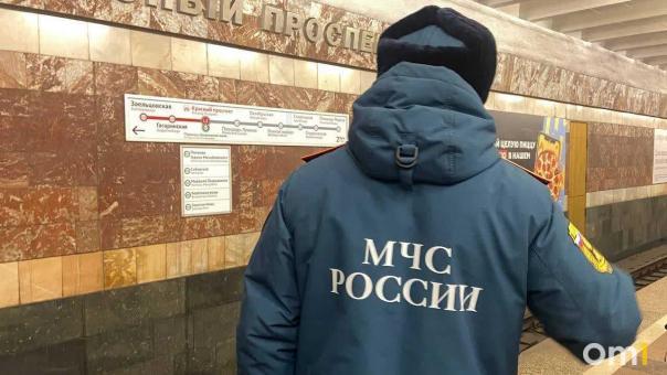 В Омской области с начала года произошло более 200 пожаров
