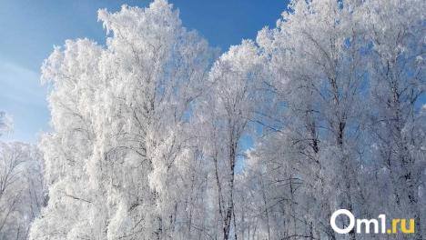 Омск к середине недели накроет мощный снегопад