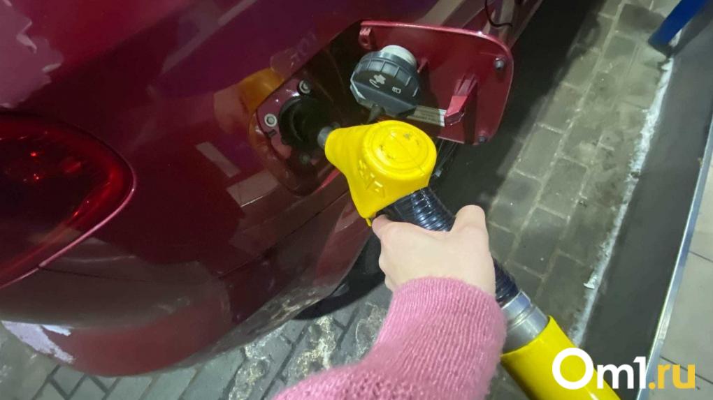 Омская область не попала в топ-30 регионов по доступности бензина