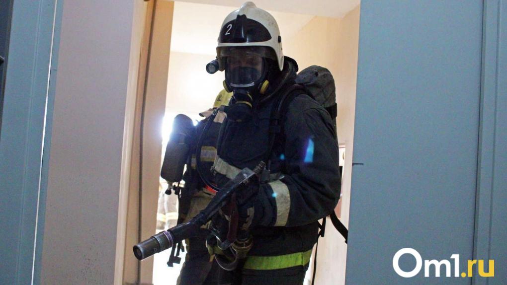 В Омской области пенсионерка сгорела в своём доме