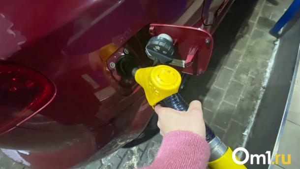 В Алтайском крае в декабре снизились цены на бензин и подержанные иномарки