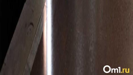 Оплата улыбкой в метро Новосибирска становится популярной среди пассажиров