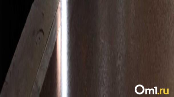 Оплата улыбкой в метро Новосибирска становится популярной среди пассажиров