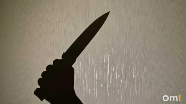 Учитель физкультуры обезвредил 14-летнюю школьницу с ножом в Кодинске