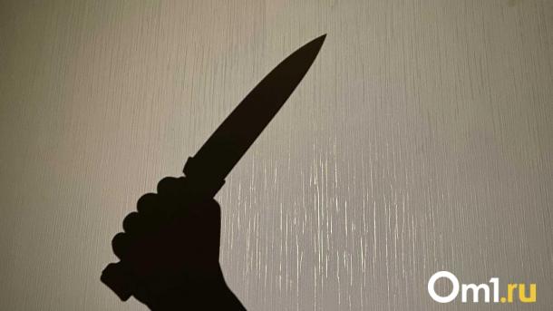 Учитель физкультуры обезвредил 14-летнюю школьницу с ножом в Кодинске