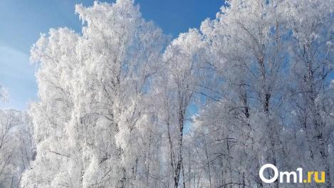 Мороз отступает? Стало известно, какая погода ждёт Новосибирск 5 февраля